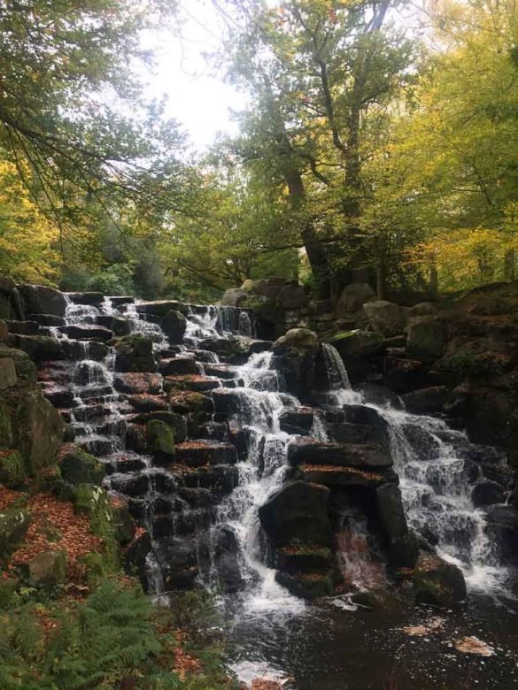 A visit to Virginia Water Lake, Surrey Chimptrips