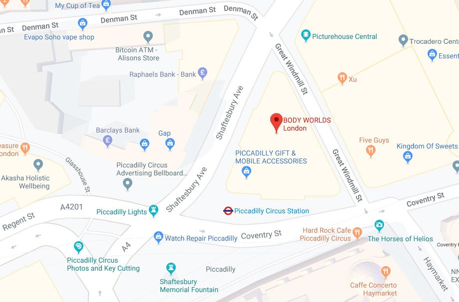 Body Worlds, StreetMap, How to get there Body Worlds, StreetMap, How to get there