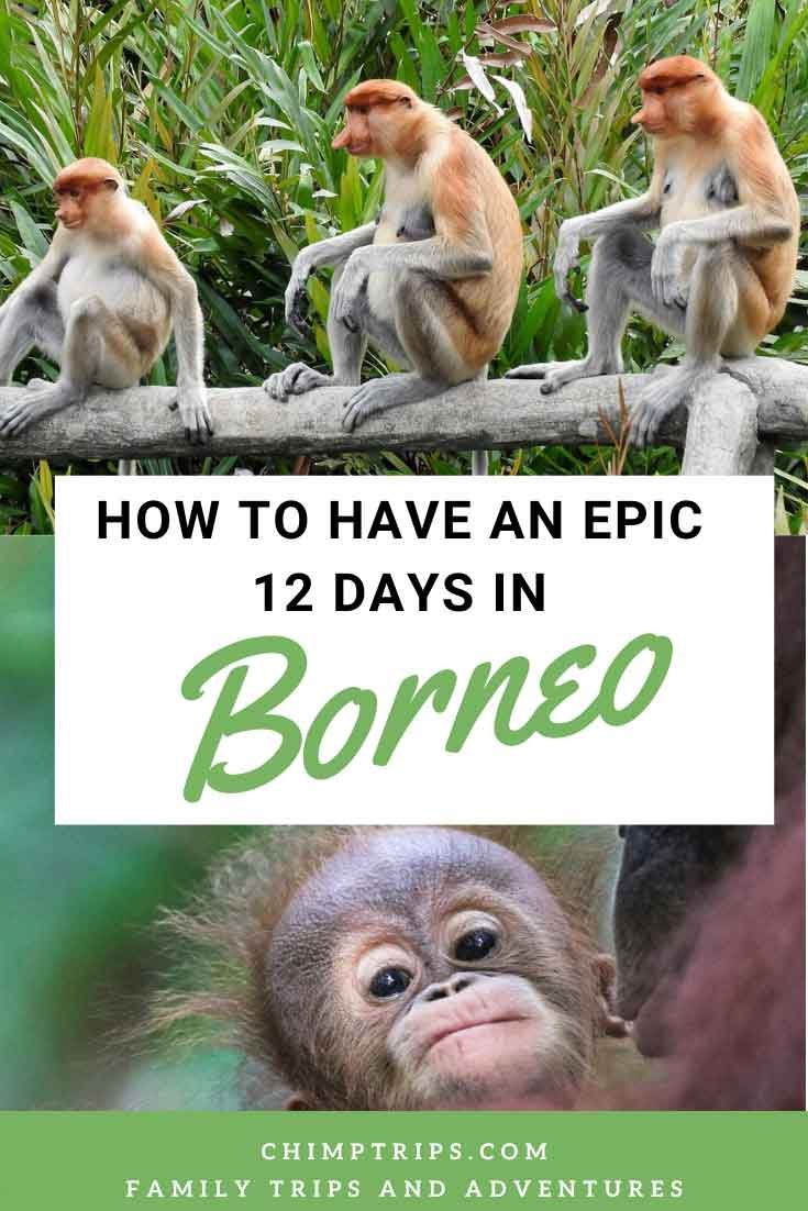 Pinterest: 12 DAY BORNEO ITINERARY