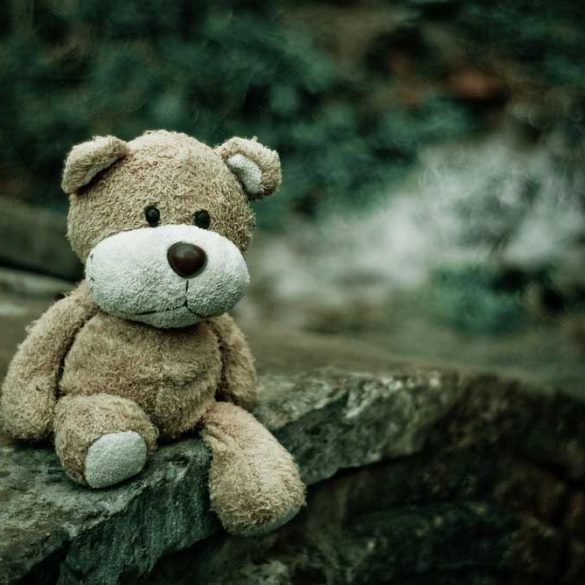 Teddy Bear Camping Teddy Bear Camping