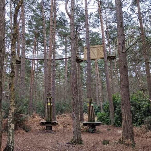 Go ape. Alice Holt Forest Go ape. Alice Holt, view of walking trails in trees