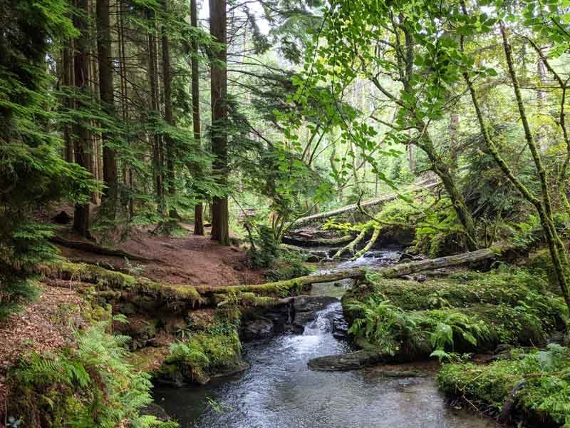 Ffynone Walk, Wales