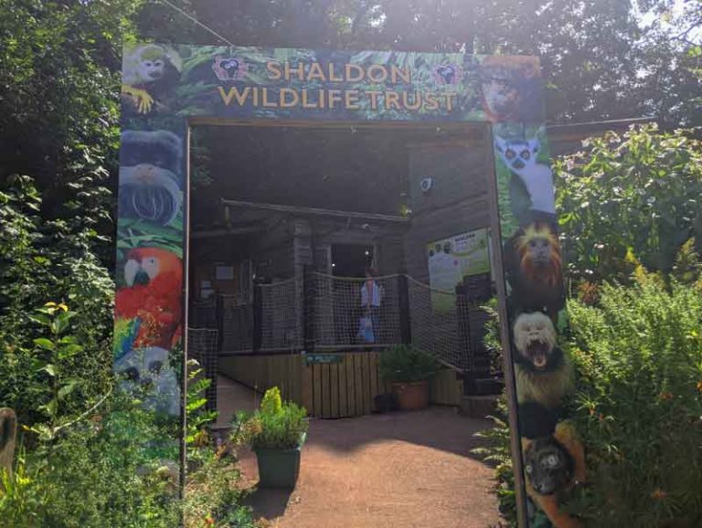 A day out in Shaldon, Devon Chimptrips