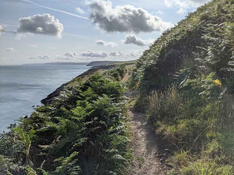 Coastal path, Mwnt, Wales, UK