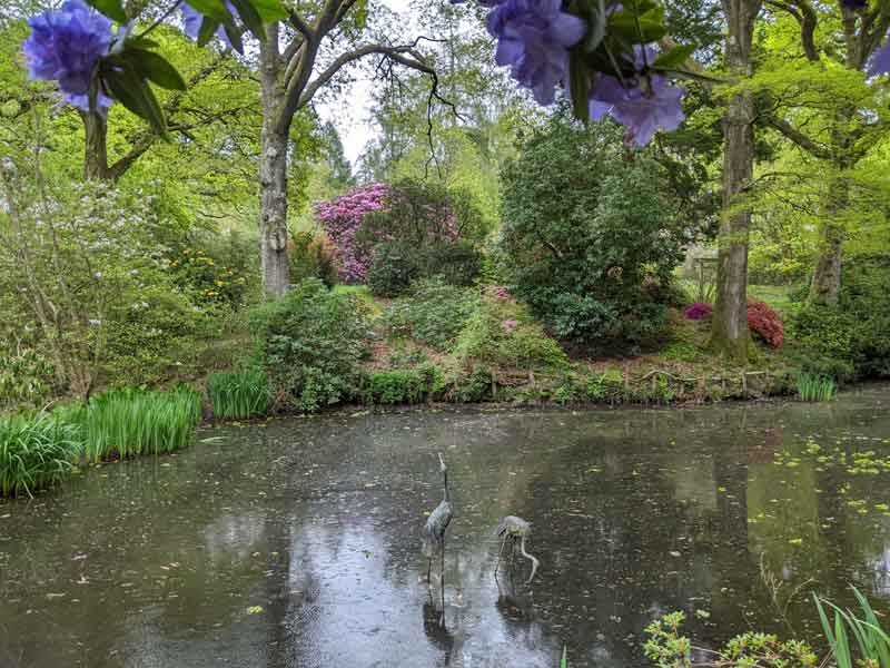 Woodland walk, Ramster Gardens, Surrey, UK Woodland walk, Ramster Gardens, Surrey, UK