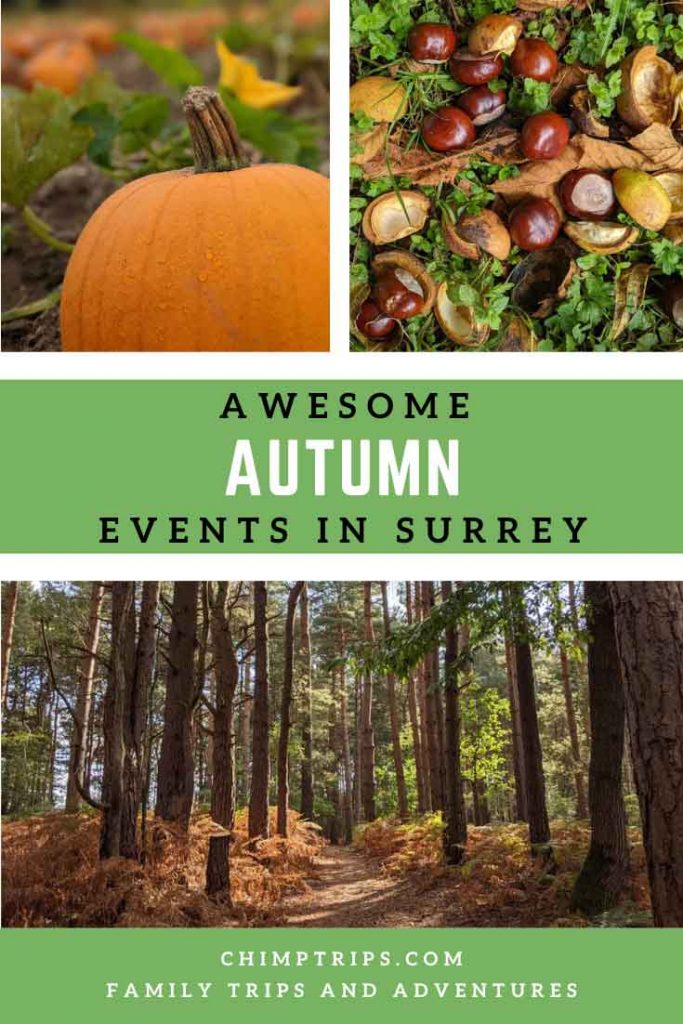 39+ awesome autumn events in Surrey 2025 - Chimptrips