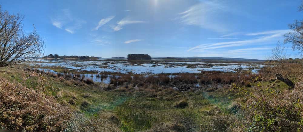 Arne Panorama, Dorset, UK Panorama view of Arne coastline, Dorset, UK