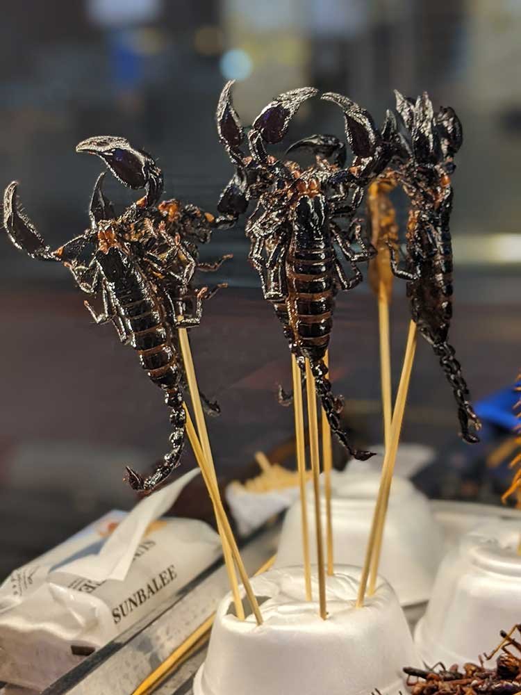 Khao San Road, Bangkok, Thailand Scorpions on sticks at Khao San Road, Bangkok, Thailand